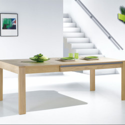 Table L 160 x 100 Yucca
